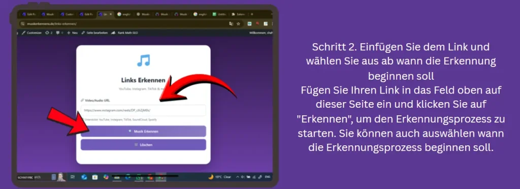 Schritt 2 Link einfügen und Erkennung starten